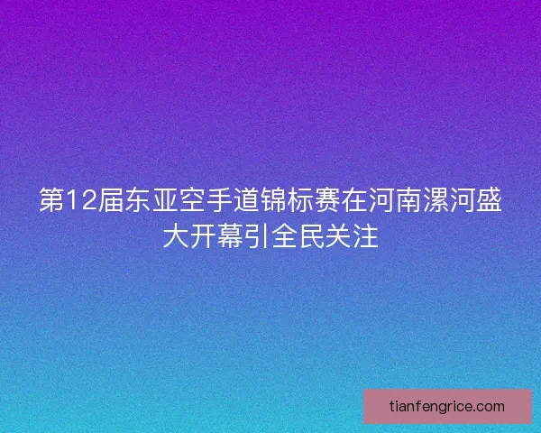 第12届东亚空手道锦标赛在河南漯河盛大开幕引全民关注 第12届东亚空手道锦标赛在河南漯河盛大开幕引全民关注