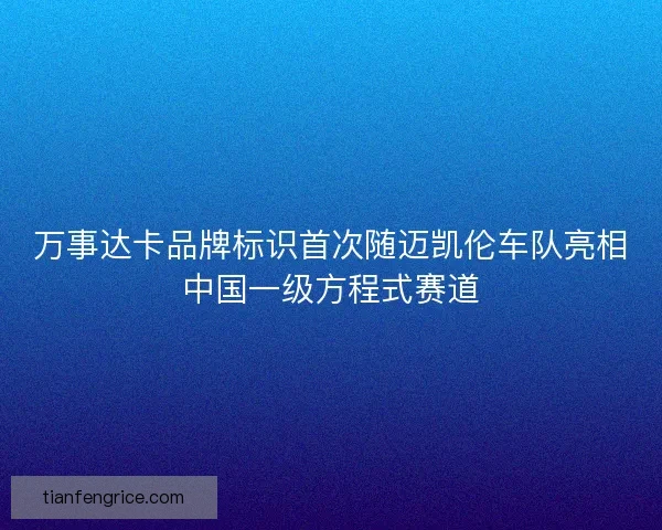 万事达卡品牌标识首次随迈凯伦车队亮相中国一级方程式赛道 万事达卡品牌标识首次随迈凯伦车队亮相中国一级方程式赛道